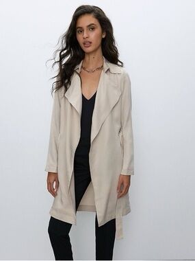 Aritzia Babaton Maximo Trench